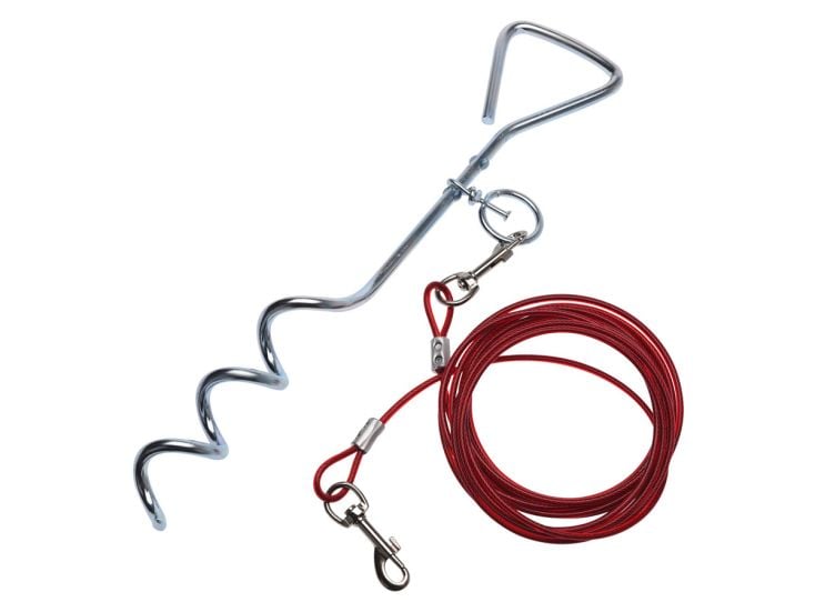 Dogs Collection picchetto a spirale con cavo