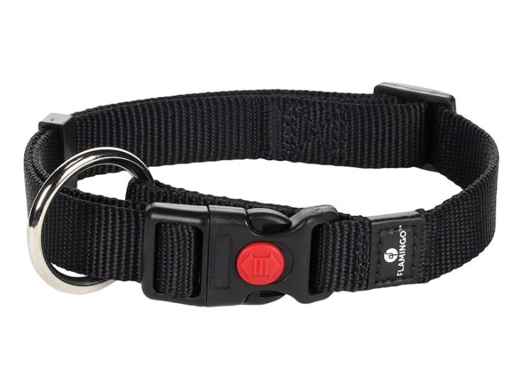 Flamingo Ziggi Black collare - XS