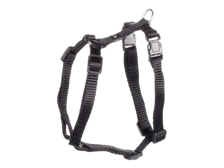 Flamingo Ziggi Black pettorina - L