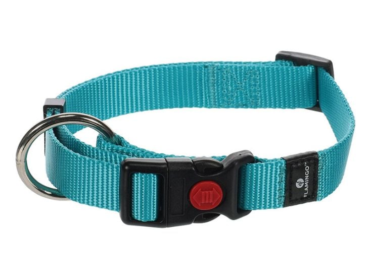 Flamingo Ziggi Turquoise collare - L